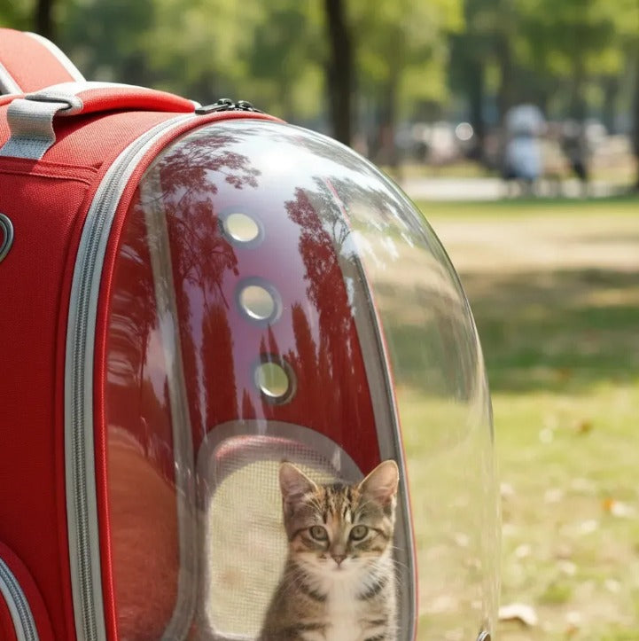 Mochila Transportadora Mascotas